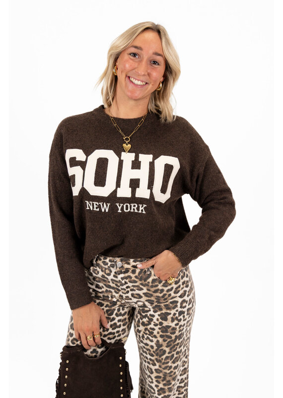 21Jewelz Soho trui - bruin