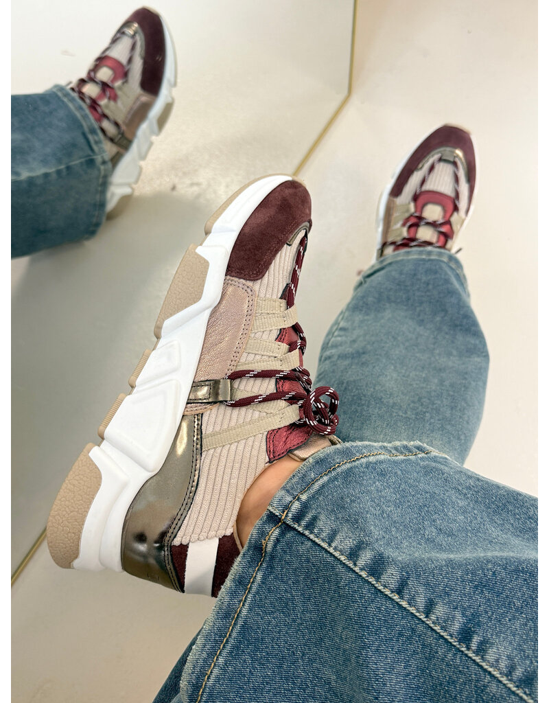 DWRS DWRS | Los Angeles - Bordeaux/Beige