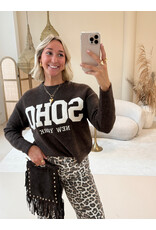 21Jewelz Soho trui - bruin