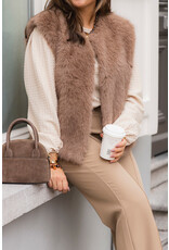 21Jewelz - The Label 21Jewelz | Fluffy Gilet - beige