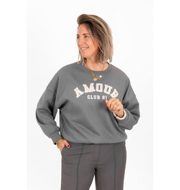 21Jewelz - The Label 21Jewelz | Sweater amour club 21 - grijs