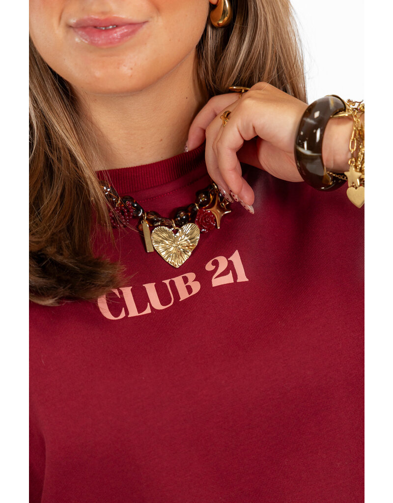 21Jewelz - The Label 21Jewelz | Sweater club 21 - bordeaux/roze