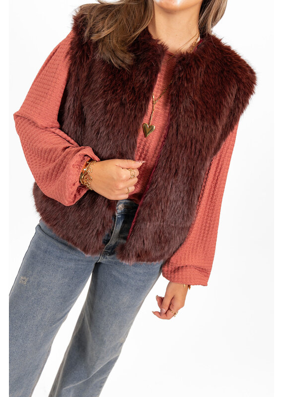 21Jewelz - The Label 21Jewelz | Fluffy Gilet - bordeaux
