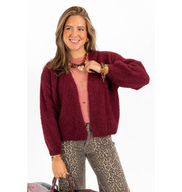 21Jewelz Gebreid vest - bordeaux