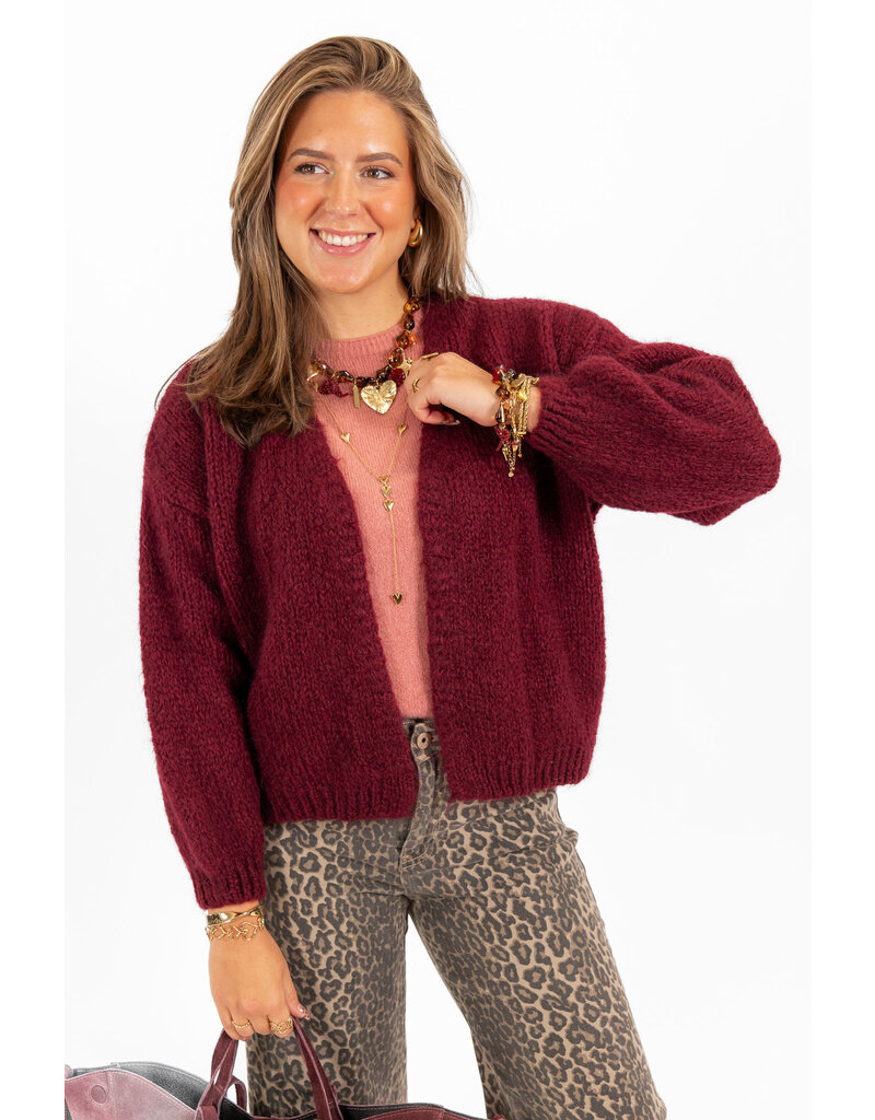 21Jewelz Gebreid vest - bordeaux