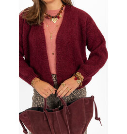21Jewelz Gebreid vest - bordeaux