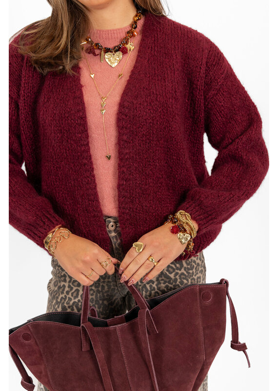 21Jewelz Gebreid vest - bordeaux