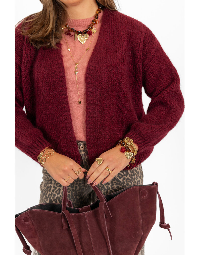 21Jewelz Gebreid vest - bordeaux