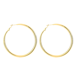 21Jewelz Grote medium oorringen - goud