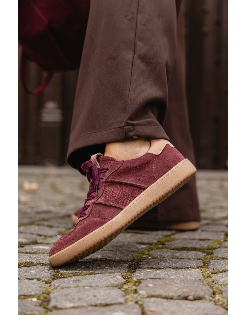 21Jewelz - The Label DWRS x 21Jewelz | Poona - bordeaux/light pink