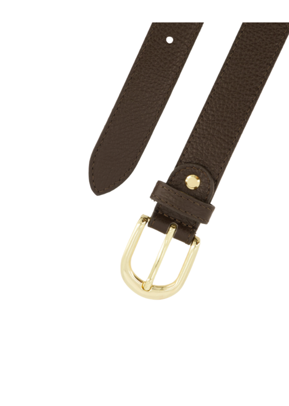 21Jewelz Musthave gold detailed riem - donkerbruin