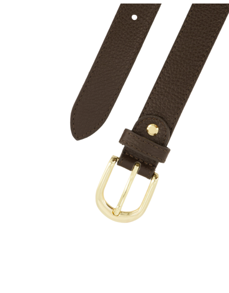 21Jewelz Musthave gold detailed riem - donkerbruin