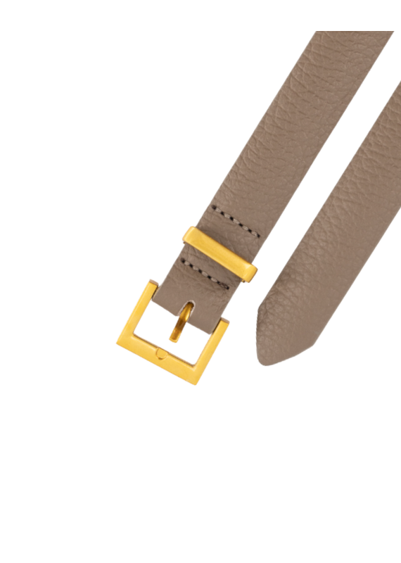 21Jewelz Riem met vierkante gesp - taupe