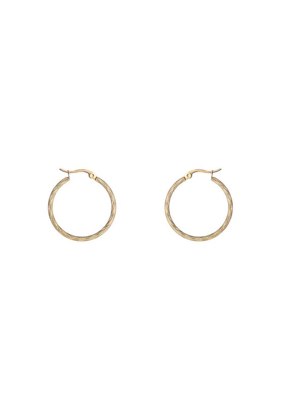Go Dutch Label D&E - Fine Twist Hoop 30mm - goud