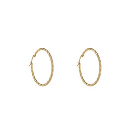 Go Dutch Label D&E - Fine Twist Hoop 40mm - goud