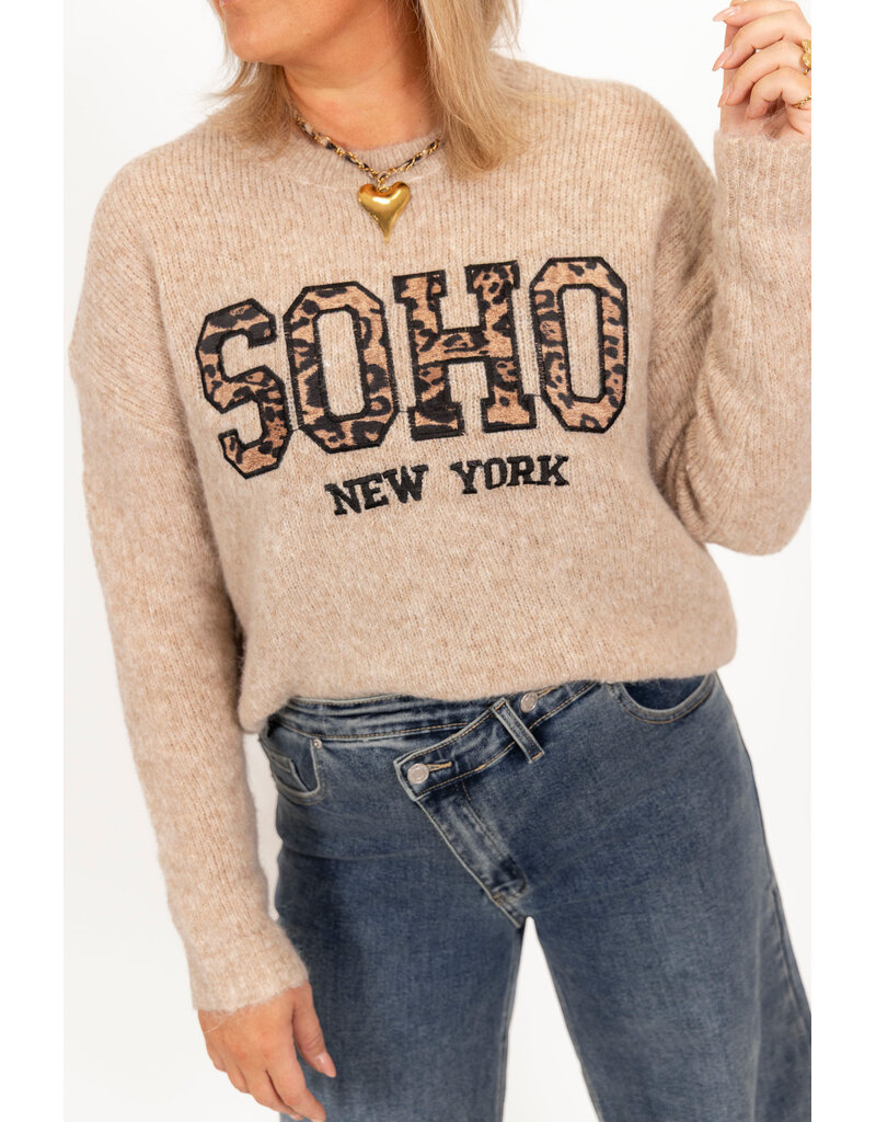 21Jewelz Soho trui - beige/panterprint