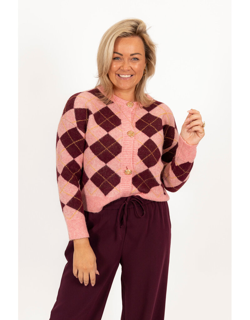 21Jewelz Geruit vestje met gouden knopen - roze/bordeaux
