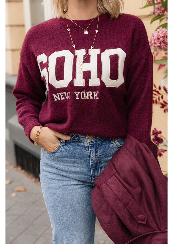 21Jewelz Soho trui - bordeaux