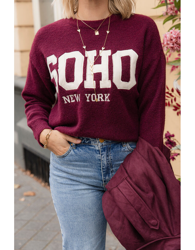 21Jewelz Soho trui - bordeaux