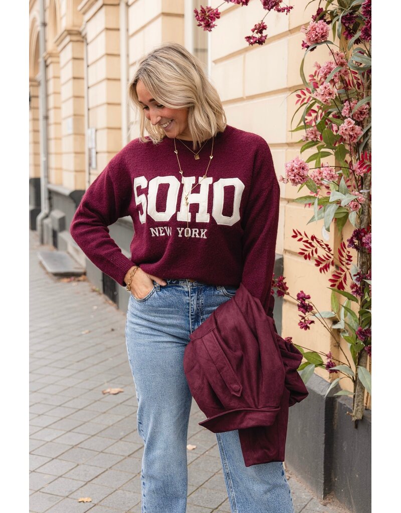 21Jewelz Soho trui - bordeaux