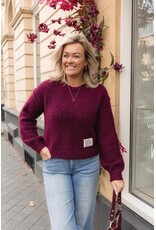 21Jewelz Gebreide trui met embleem - bordeaux