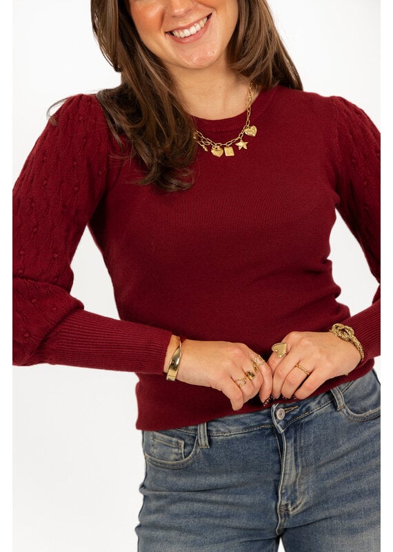21Jewelz Truitje met geborduurde pofmouwen - bordeaux