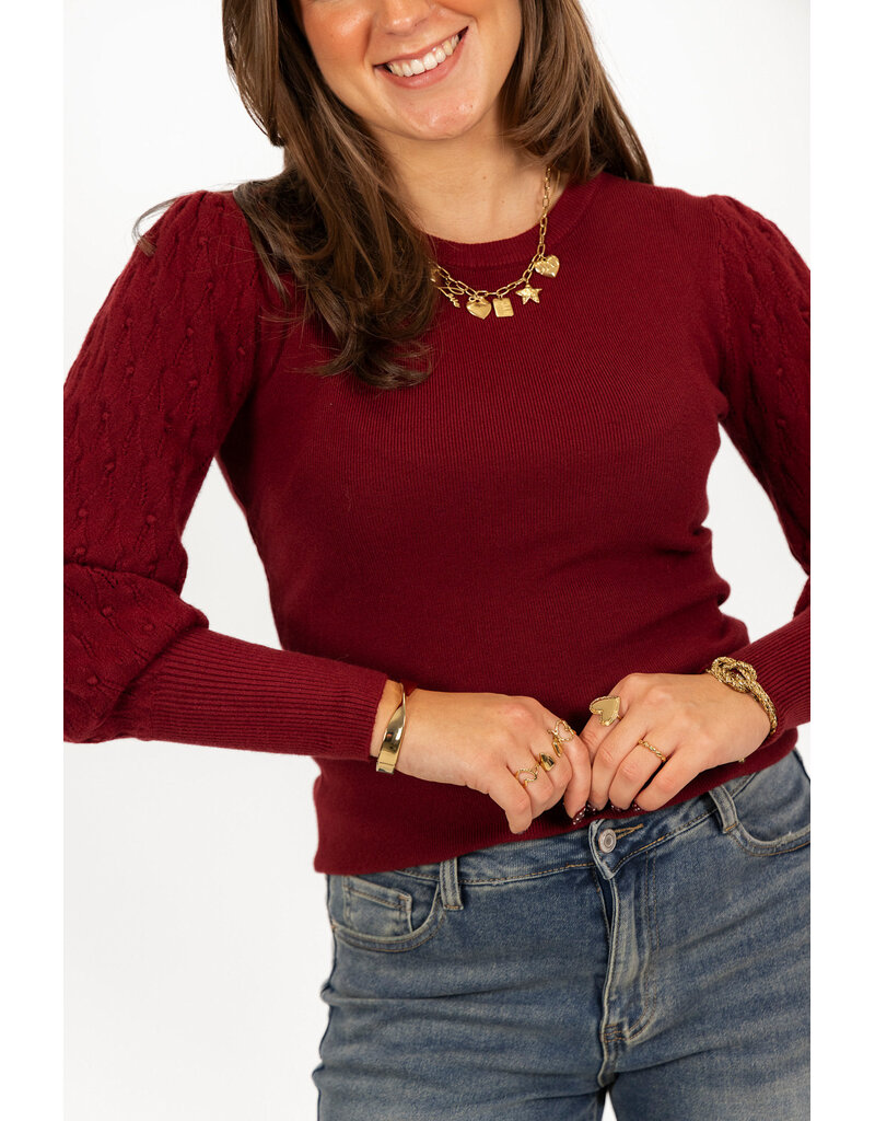 21Jewelz Truitje met geborduurde pofmouwen - bordeaux