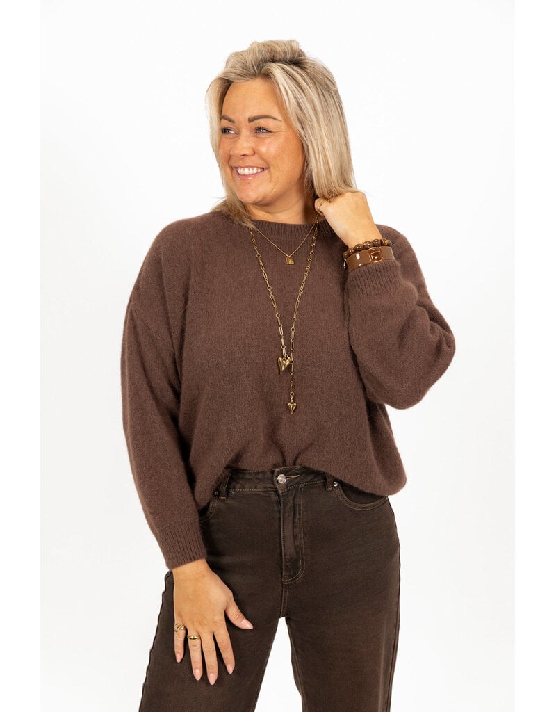 21Jewelz Effen basic trui met lange mouw - bruin