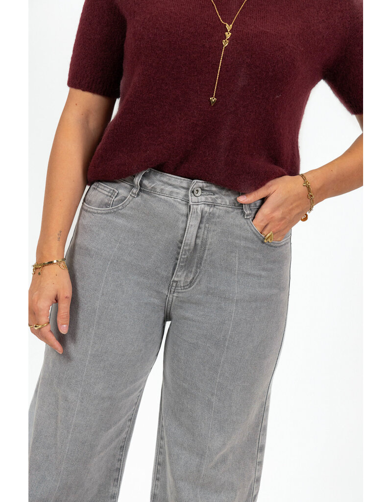 21Jewelz Jeans met omslag - grijs