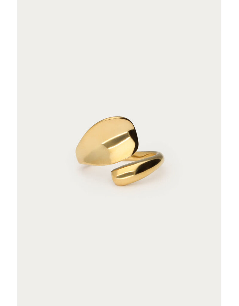 My Jewellery My Jewellery - Statement ring hollow - goud