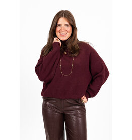 21Jewelz Gebreide trui met hoge hals - bordeaux