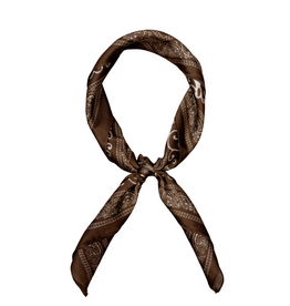 21Jewelz Satijn-look sjaaltje met bruine print