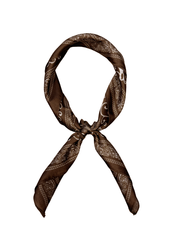 21Jewelz Satijn-look sjaaltje met bruine print