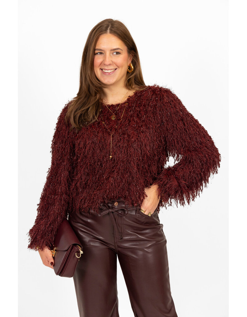 21Jewelz Fluffy top - bordeaux