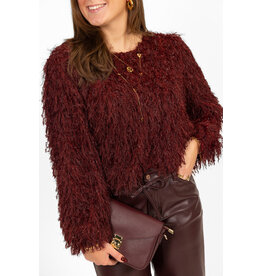 21Jewelz Fluffy top - bordeaux