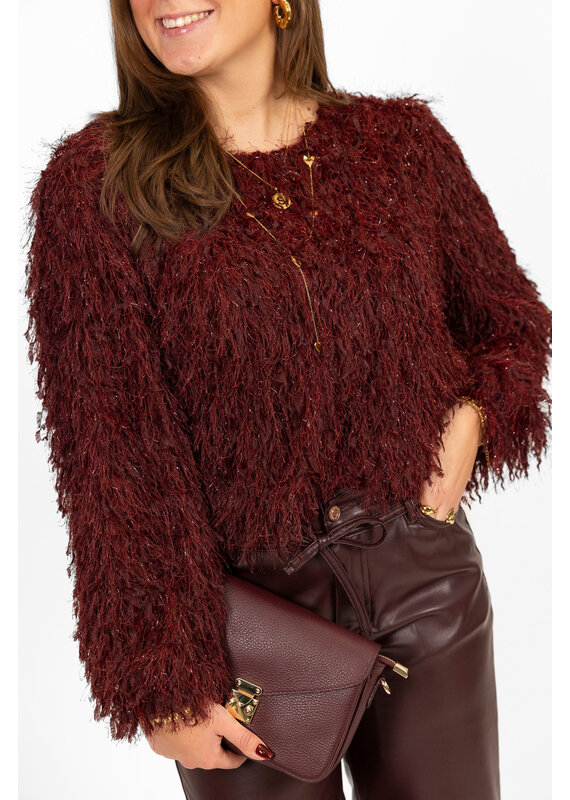 21Jewelz Fluffy top - bordeaux