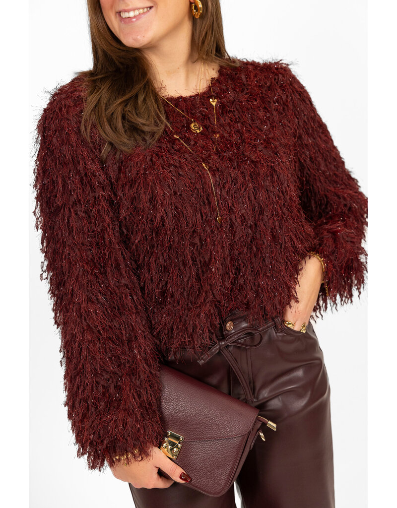 21Jewelz Fluffy top - bordeaux