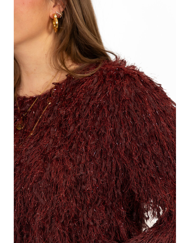 21Jewelz Fluffy top - bordeaux