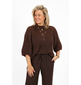 21Jewelz Grofgebreide trui met korte mouw - bruin