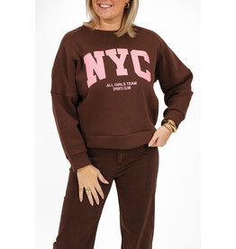21Jewelz Sweater NYC - bruin / roze