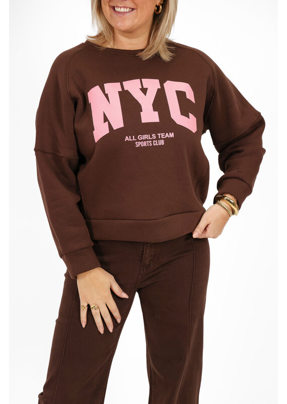 21Jewelz Sweater NYC - bruin / roze