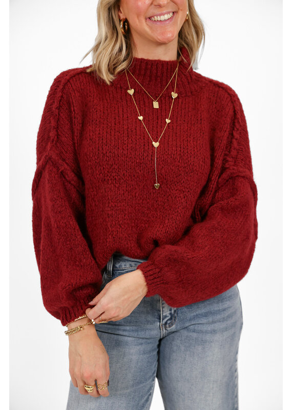 21Jewelz Gebreide trui met opstaande kraag - bordeaux