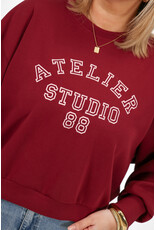 21Jewelz Sweater atelier - bordeaux