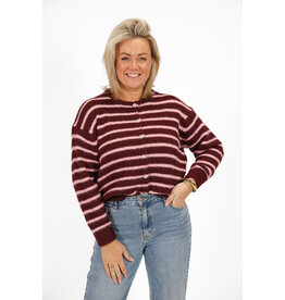 21Jewelz Vest met strepen burgundy roze