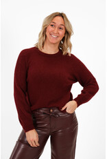 21Jewelz Effen basic truitje met lange mouw - bordeaux