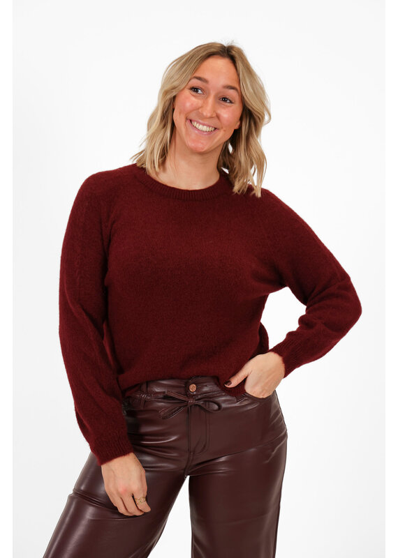 21Jewelz Effen basic truitje met lange mouw - bordeaux