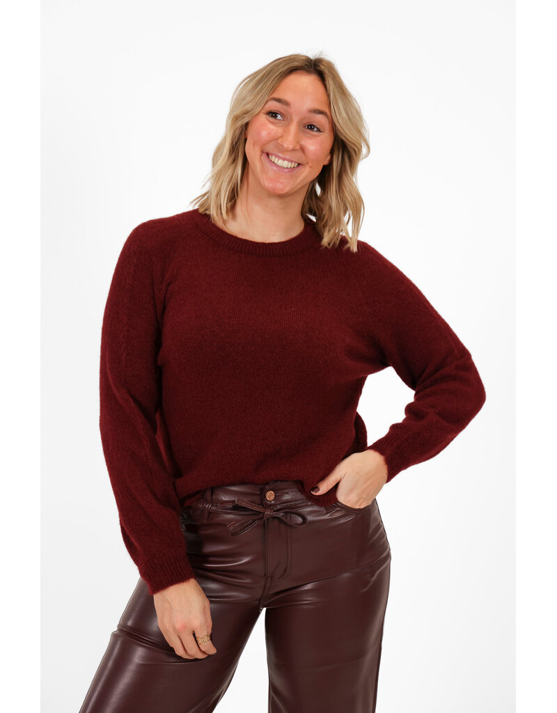 21Jewelz Effen basic truitje met lange mouw - bordeaux