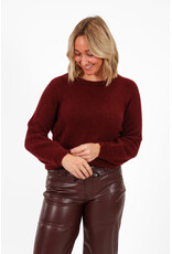 21Jewelz Effen basic truitje met lange mouw - bordeaux