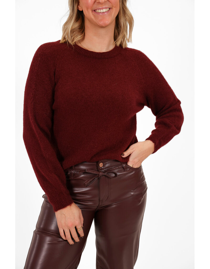 21Jewelz Effen basic truitje met lange mouw - bordeaux