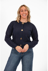 21Jewelz Trui met verschillende gouden knopen - blauw